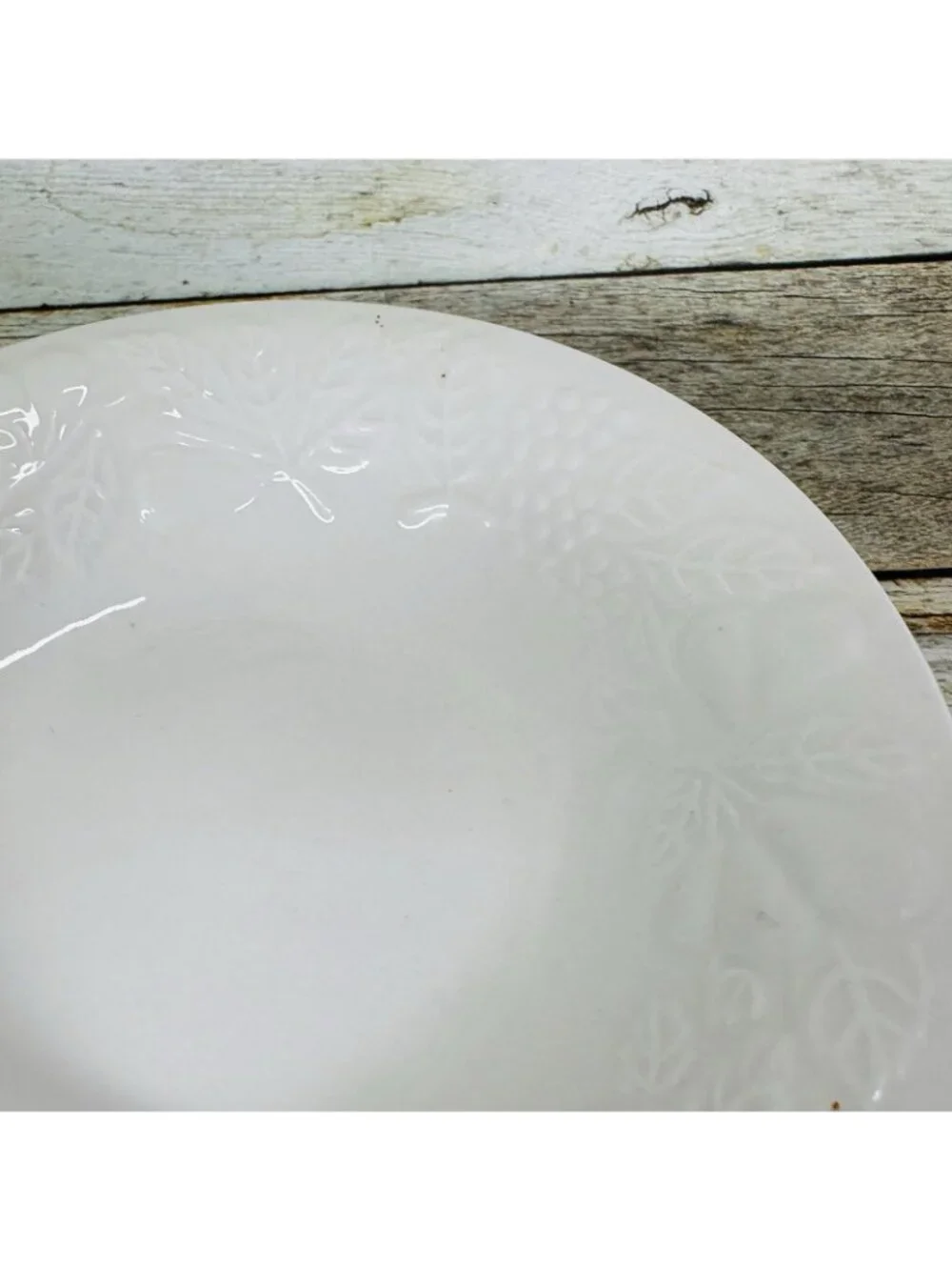 Gibson FRUIT Embossed Fruit Leaves White Shades Rim Coupe Soup Bowls Set of 2